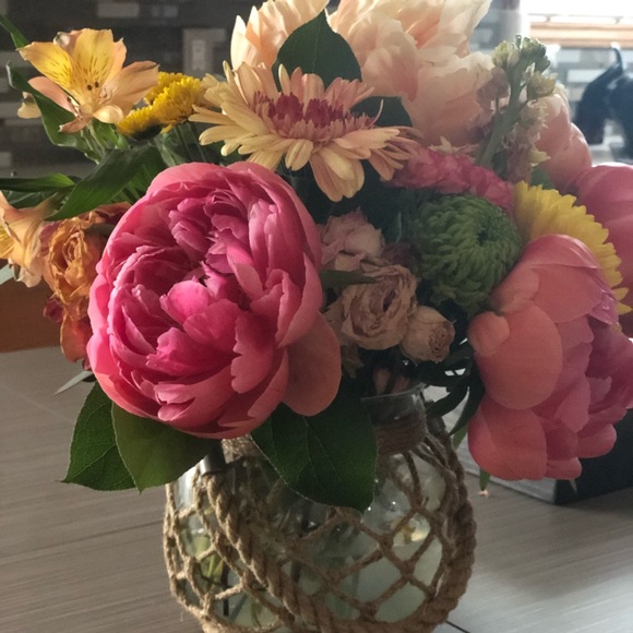 Meet your Posher, Elsie - Picture 2 of 2